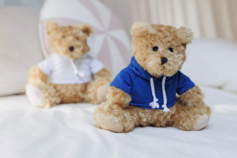 Teddybeer Monty