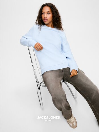 Light Grey Melange - JACK &amp; JONES//PRODUKT Tour Crew