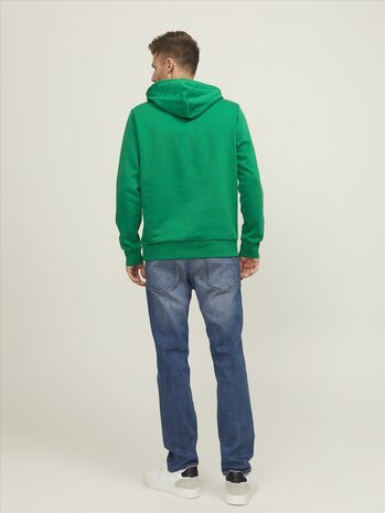 Jolly Green - JACK &amp; JONES//PRODUKT Cosy Hood