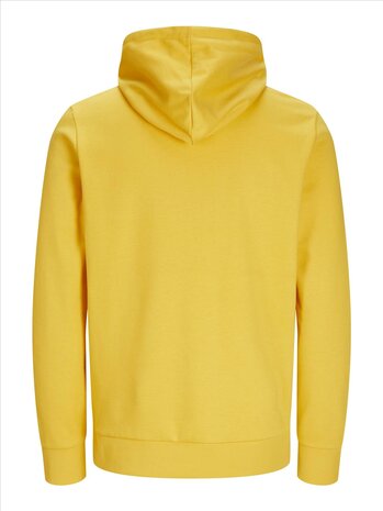 Spectra Yellow - JACK &amp; JONES//PRODUKT Cosy Hood