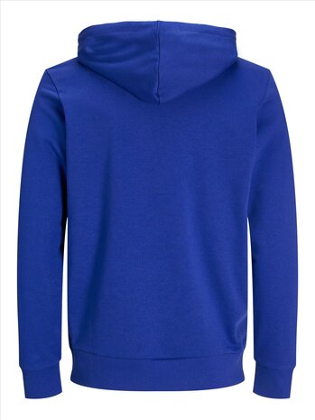 Surf the Web Blue JACK &amp; JONES//PRODUKT Day Zip Hood