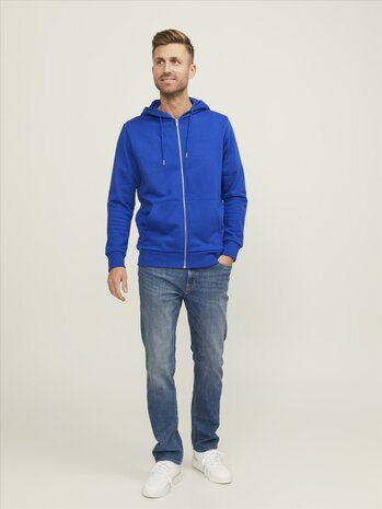 Surf the Web Blue JACK &amp; JONES//PRODUKT Day Zip Hood