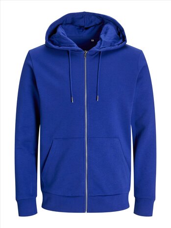Surf the Web Blue JACK &amp; JONES//PRODUKT Day Zip Hood